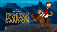 Donald visite le Grand Canyon wallpaper 