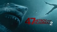 47 Meters Down : Uncaged wallpaper 