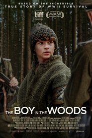 Poster of The Boy in the Woods image size 900x1350