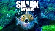 Shark Week  