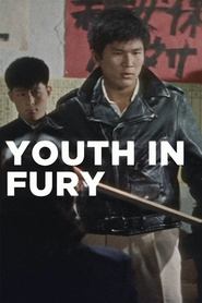 poster Youth in Fury