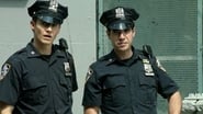 Blue Bloods season 3 episode 4