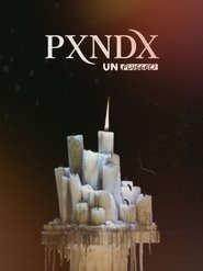 poster Panda MTV Unplugged