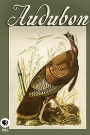 Audubon 2017 123movies
