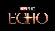 Backdrop of Echo image size 1280x720