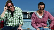 Terriers  