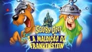 Scooby-Doo! : Aventures en Transylvanie wallpaper 