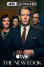 Poster of The New Look image size 667x1000