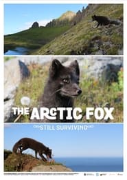 The Arctic Fox