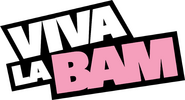 Logo of Viva La Bam image size 537x290