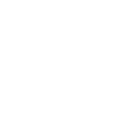 Logo of Now or Never image size 467x480