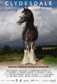 Clydesdale: Saving the Greatest Horse 2020 Soap2Day