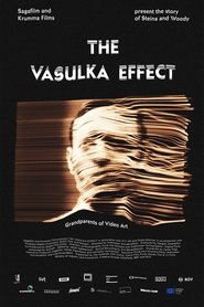 poster The Vasulka Effect