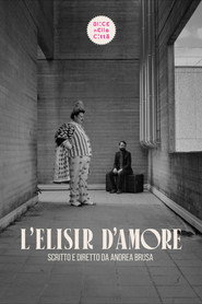 L'elisir d'amore