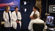 Grey's Anatomy season 9 episode 9