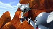 Blinky Bill wallpaper 