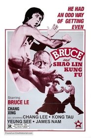 poster Bruce and Shaolin Kung Fu
