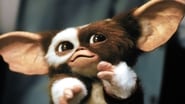 Gremlins 2 : La Nouvelle Génération wallpaper 