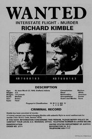 Poster of The Fugitive image size 500x750