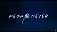 Meow or Never wallpaper 
