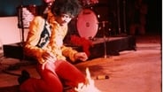 The Jimi Hendrix Experience: Live at Monterey wallpaper 