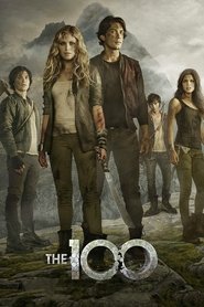 Poster of The 100 image size 980x1470