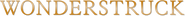 Logo of Wonderstruck image size 785x70