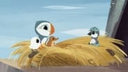 Puffin Rock season 1 episode 2