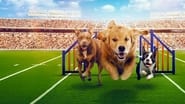 Puppy Bowl Presents: The Dog Games wallpaper 