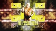 The American Dream: The Dusty Rhodes Story wallpaper 