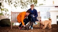 Please Like Me season 4 episode 3