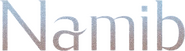 Logo of Namib image size 684x190