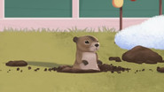 Groundhog Birthday