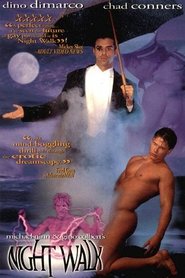 Poster of Night Walk: A Bedtime Story image size 500x750