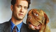 Turner & Hooch wallpaper 