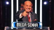 Mega Senha  