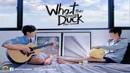 What the Duck - The Series  