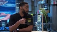 Disjointed season 1 episode 15