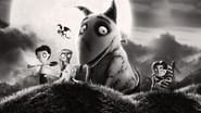 Frankenweenie wallpaper 