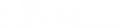 Logo of The New World image size 4277x944