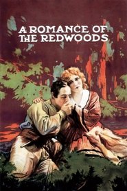 poster A Romance of the Redwoods