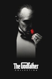 Poster image size 2000x3000