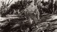 Tarzan: Silver Screen King of the Jungle wallpaper 