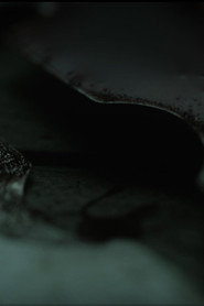 To Those Who Speak Waves