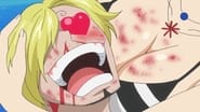 One Piece season 14 episode 528