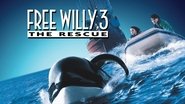 Sauvez Willy 3 : La poursuite wallpaper 