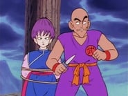 Dragon Ball season 1 episode 129