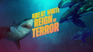 Great White Reign of Terror
