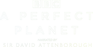 Logo of A Perfect Planet image size 1392x709