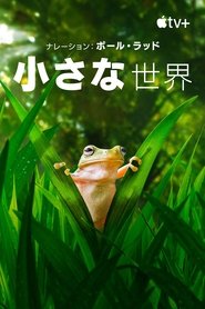 gallery-thumbnail
